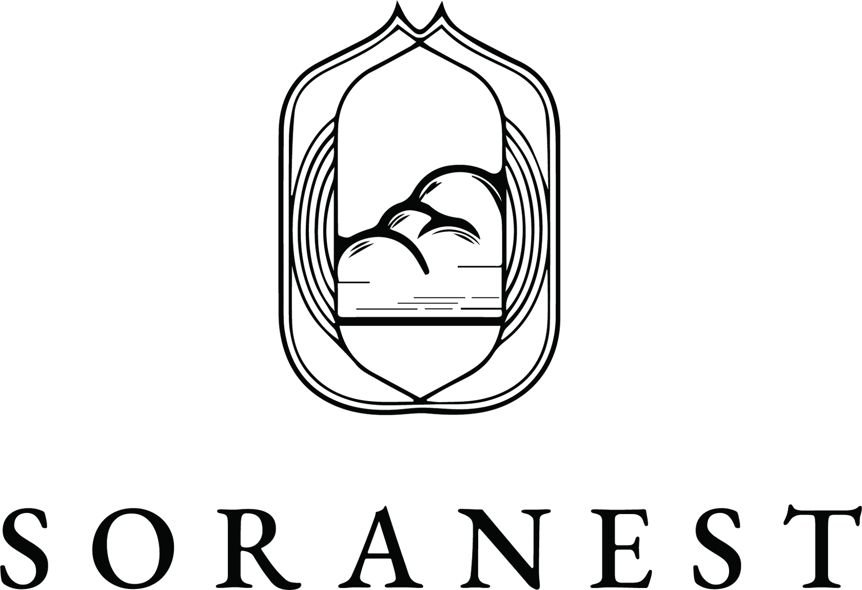 Soranest logo